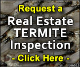 Request a Real Estate Termite Inspection